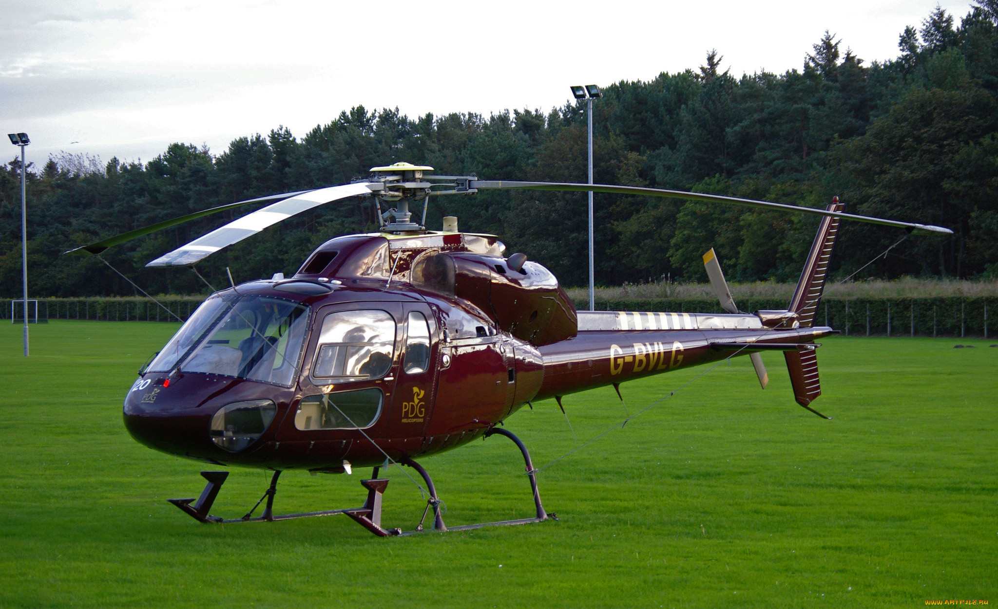pdg helicopters, , , 